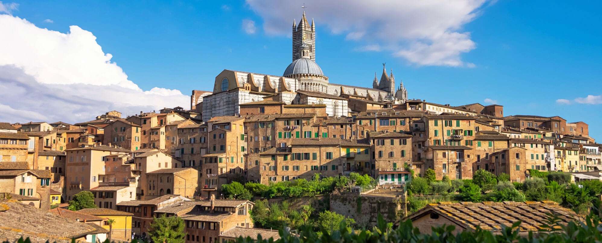 Siena- Discover the Perfect Beauty