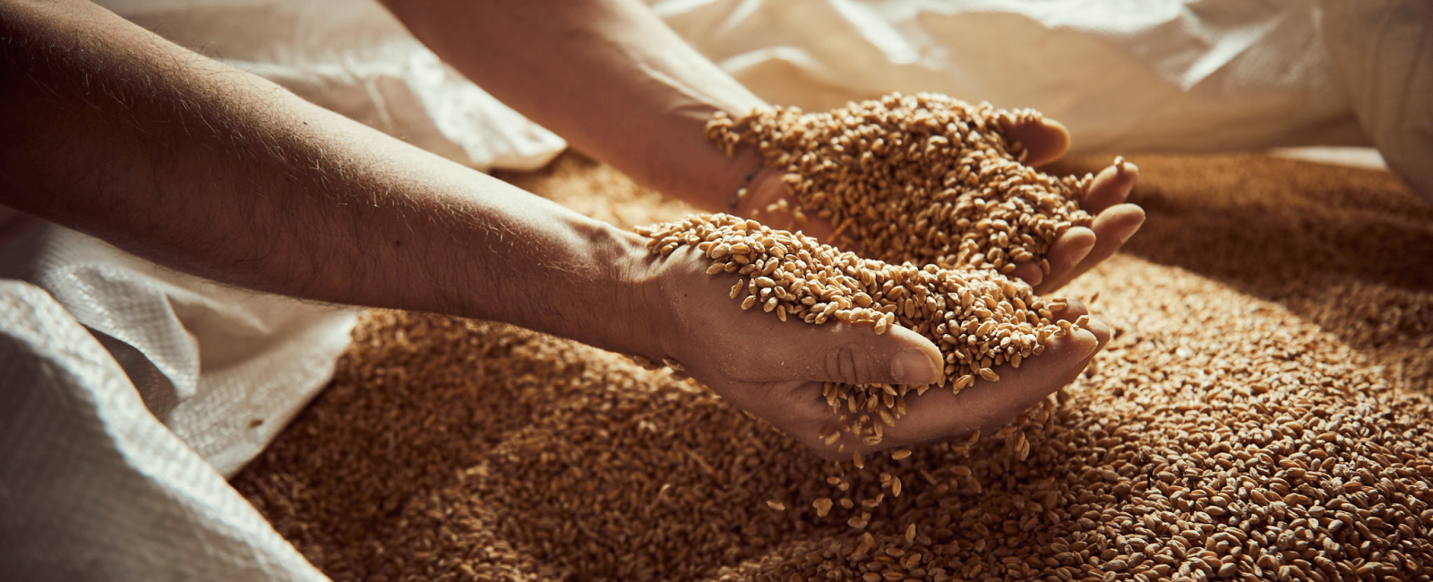 Organic Flour & Pasta Mill, Ancient Castle & Bagno Vignoni Tour