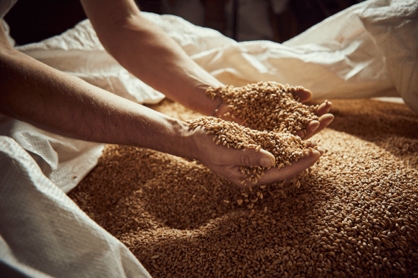 Flour-Pasta-Organic-Mill-Ancient-Castle-and-Bagno-Vignoni_Cover-Photo